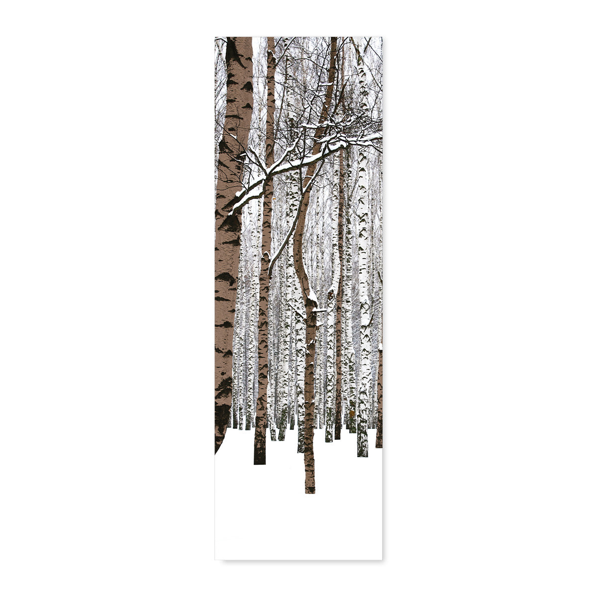 Transat forêt