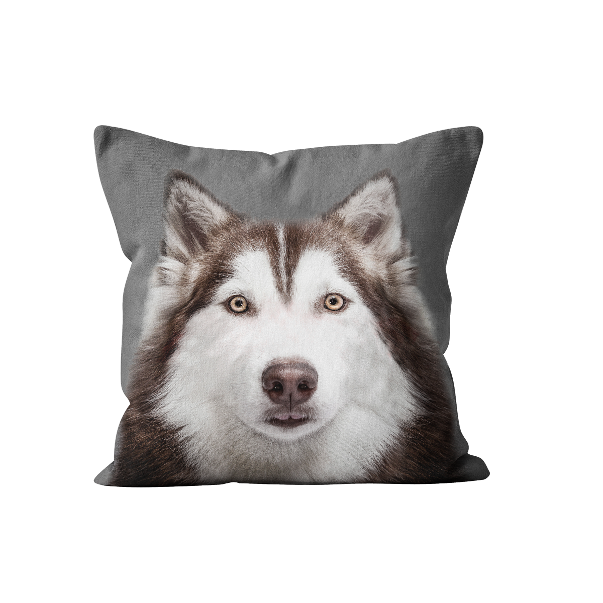 Coussin chien husky en velours
