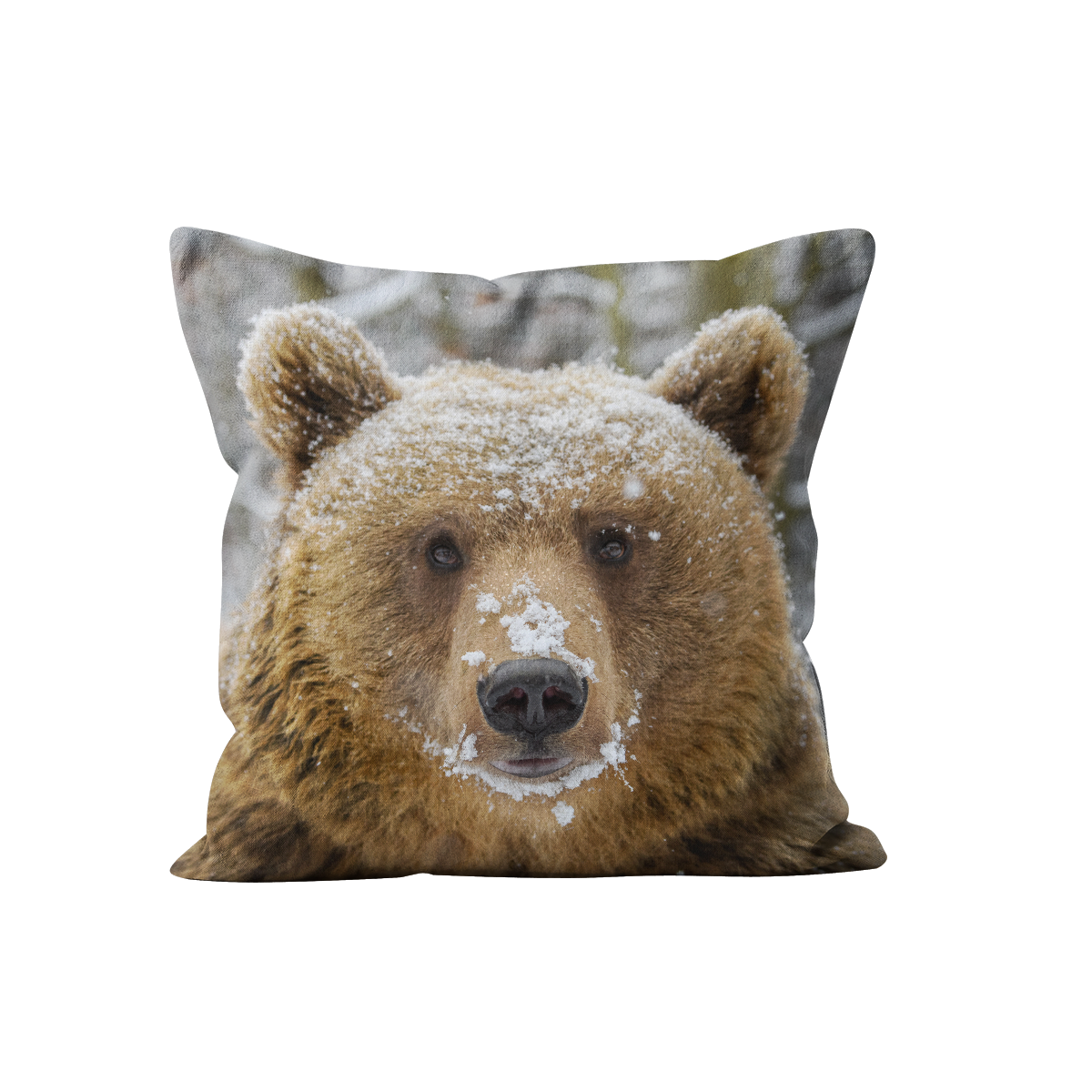 Coussin Ours carré en velours