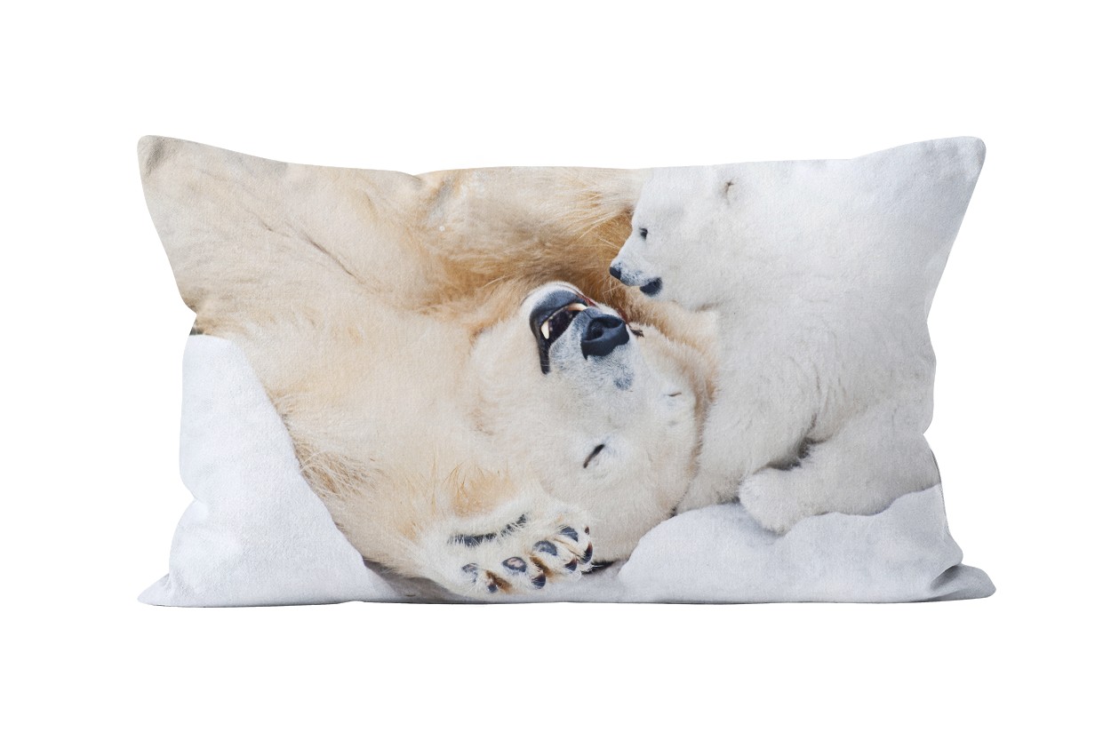 Coussin déco ours en velours