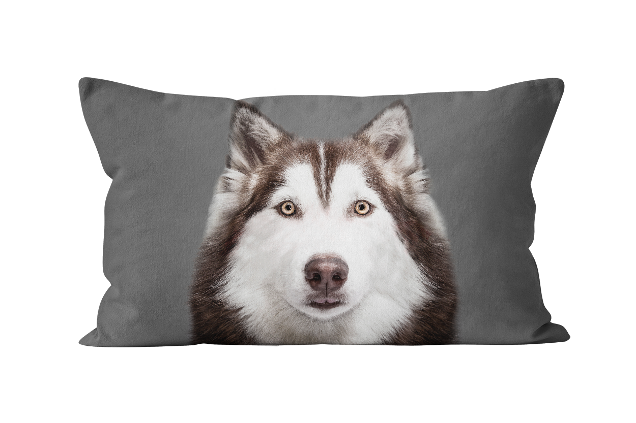 Coussin chien husky en velours