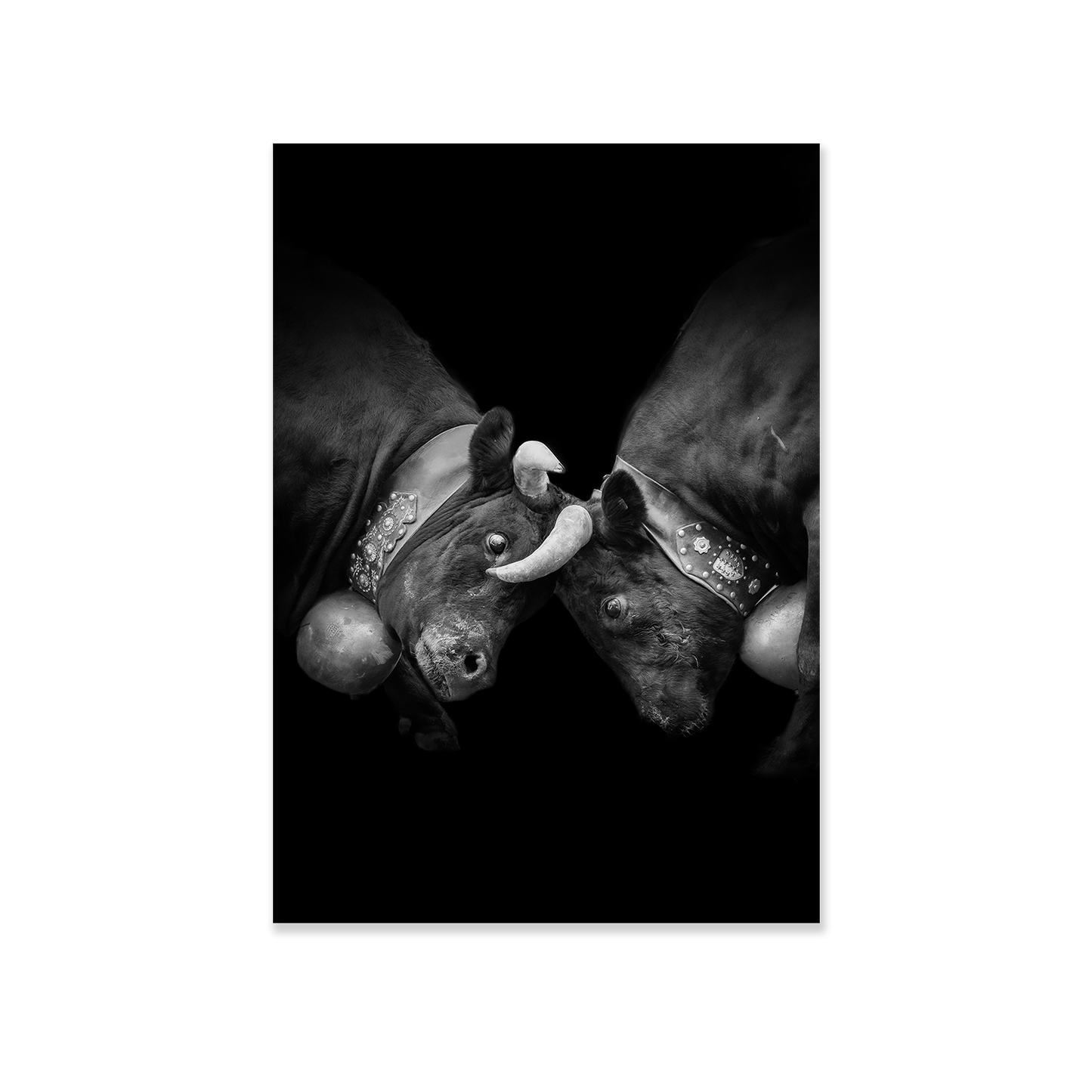 Tableau décoratif vache