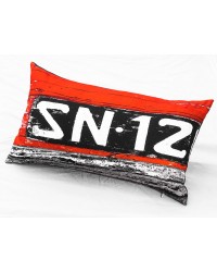 Coussin Immatriculation 1 40x68