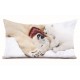 Coussin Calin d'Ours 40 x 68