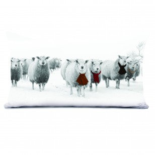 Coussin Moutons 40 x 68