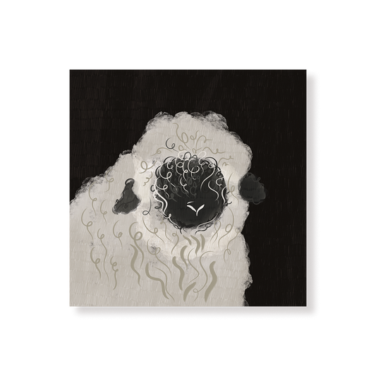 Tableau Mouton, illustration de mouton